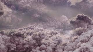 Trentemøller: Neverglade