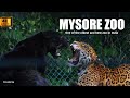 MYSORE ZOO One Of The Oldest And Best Zoo In India Malayalam English 4K Travelenze