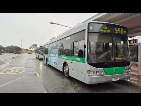 Transperth TP2039