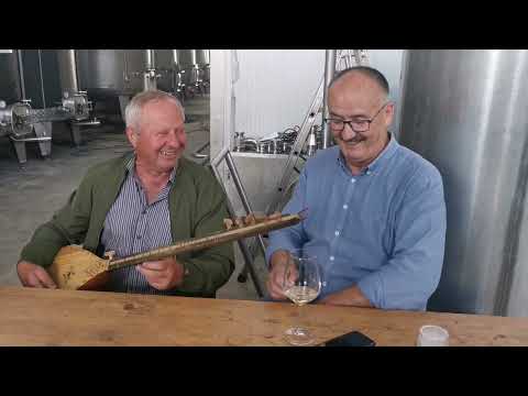 Pero Zovko i Piljo Geljić - Čuvaj mi se topa i granate (Official live Video)