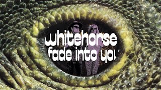 Fade into You Music Video
