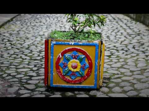 Fed Horses - Gifts (Official Audio)