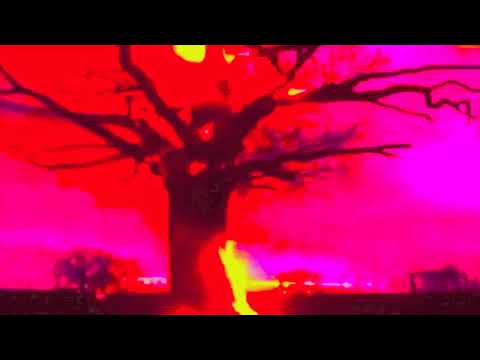 Crystal Cage – Take My Hand