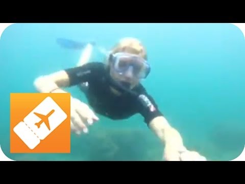 Urlaubs-Check | Koratien vs. Bulgarien | Teil 1 | Reisefieber