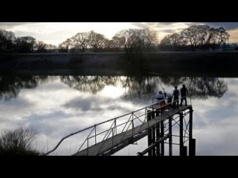 Documentary explores the impact of food waste on environment