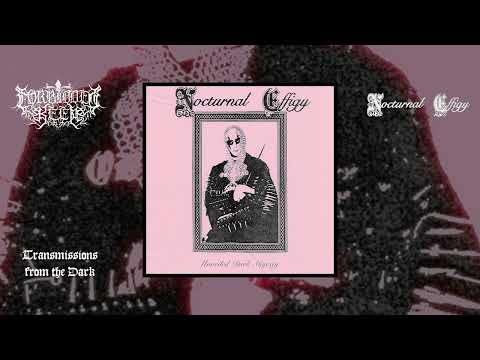 Nocturnal Effigy - Unveiled Dark Majesty (full album, 2023)