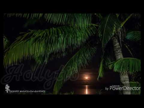 🌺LADY🌺 BY AKINO 2017