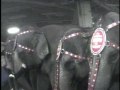 Ringling Bros And Barnum Bailey Circus 2009