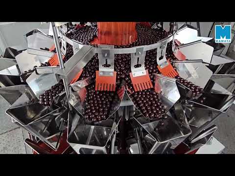 Vertical Form Fill Seal Machine (Filing Hershey's Exotic Dark Chocolate)