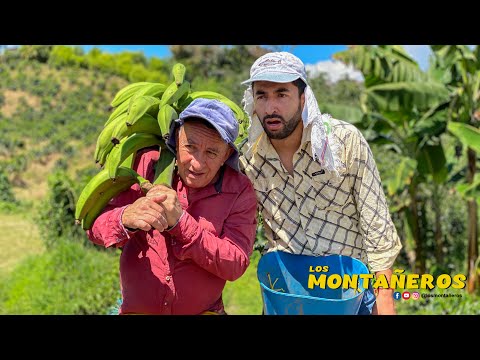 LIVING IN THE COUNTRYSIDE - THE MOUNTAINEERS