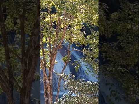 Cachoeira do Rio Grande. Bocaina de Minas MG.