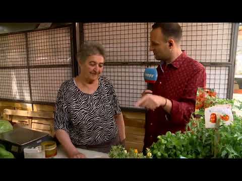 Ukljucenje sa pijace - Seljak je staro stablo koje odrzava celu zemlju - DJS - (TV Happy 27.05.2022)