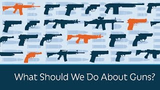 What Should We Do About Guns?