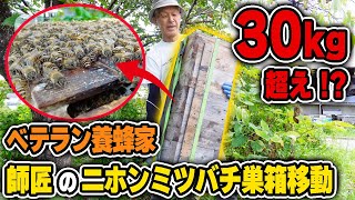 30kg超え！？ベテラン養蜂家のニホンミツバチ巣箱移動