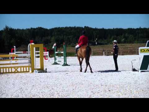 Apache sunrice RiderssInn 16.8.2015 120-125 cm 6 sija