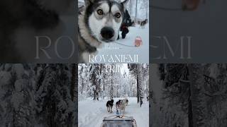 【フィンランド🇫🇮】ロヴァニエミ旅行🐶🥂#shorts #フィンランド #ハスキー  #ロヴァニエミ #海外旅行 #北欧旅行 #オーロラ #finland #finnair #aurora