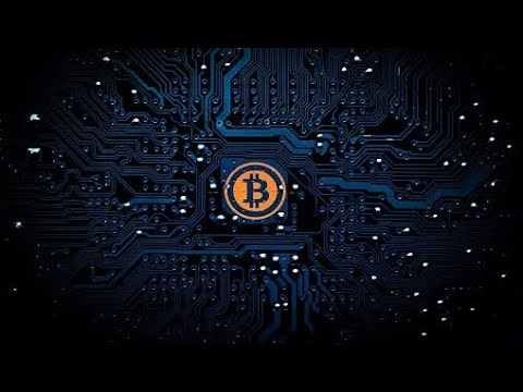 Turėtų investuoti į bitcoin