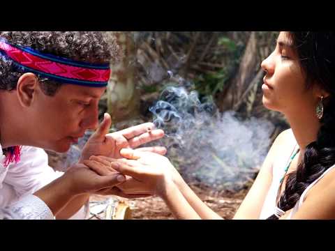 Ícaro: AL FONDO DEL BOSQUE (AYAHUASCA)