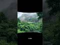 WAAREYA Slowed Reverb Aesthetic Love Status Viral