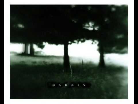 Barzin - Past All Concerns