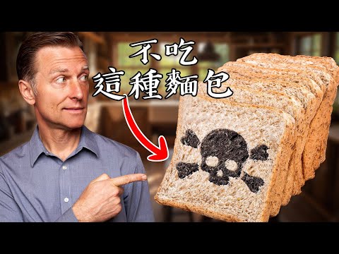 再不吃麵包, 推薦好麵包與古老麵粉, 柏格醫生 Dr Berg, 柏格醫生 Dr Berg (再不吃麵包, 推薦好麵包與古老麵粉, 柏格醫生 Dr Berg,柏格醫生 Dr Berg)