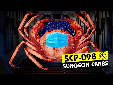 SCP-098 | Surgeon Crabs (SCP Orientation)