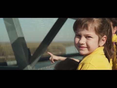 ŠIMA JOVANOVAC, PERO GALIĆ I VUKOVARSKI GOLUBIĆI - Slavonija za Hrvatsku diše (Official Video)