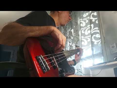 Un grande amore - POOH - Fabio al basso