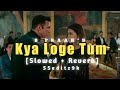 Meri Zindagi Se Jane Ka Kya Kya Loge Tum SLOWED AND REVERB B Praak After Breakup Song