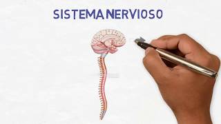 Neurología para pacientes - ¿Qué hacen los neurólogos