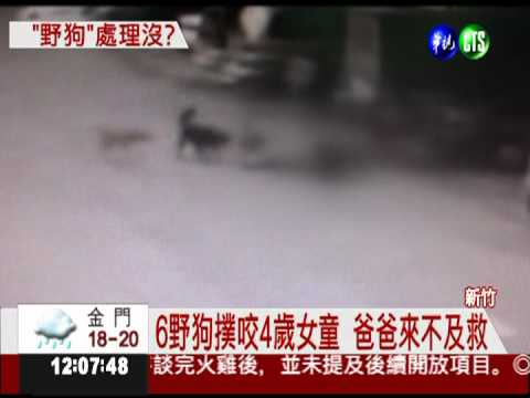 6野狗撲咬! 4歲女童身心受創