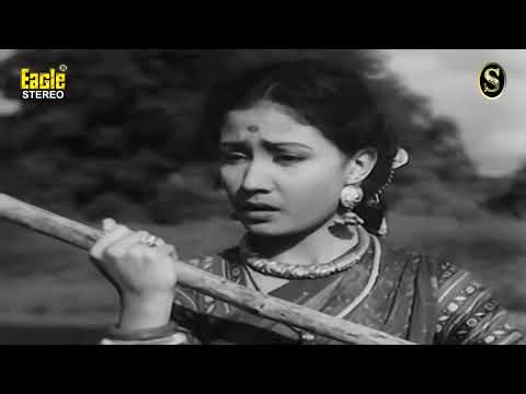 Tu Ganga Ki Mauj Main Jamuna Ka (EAGLE Jhankar)