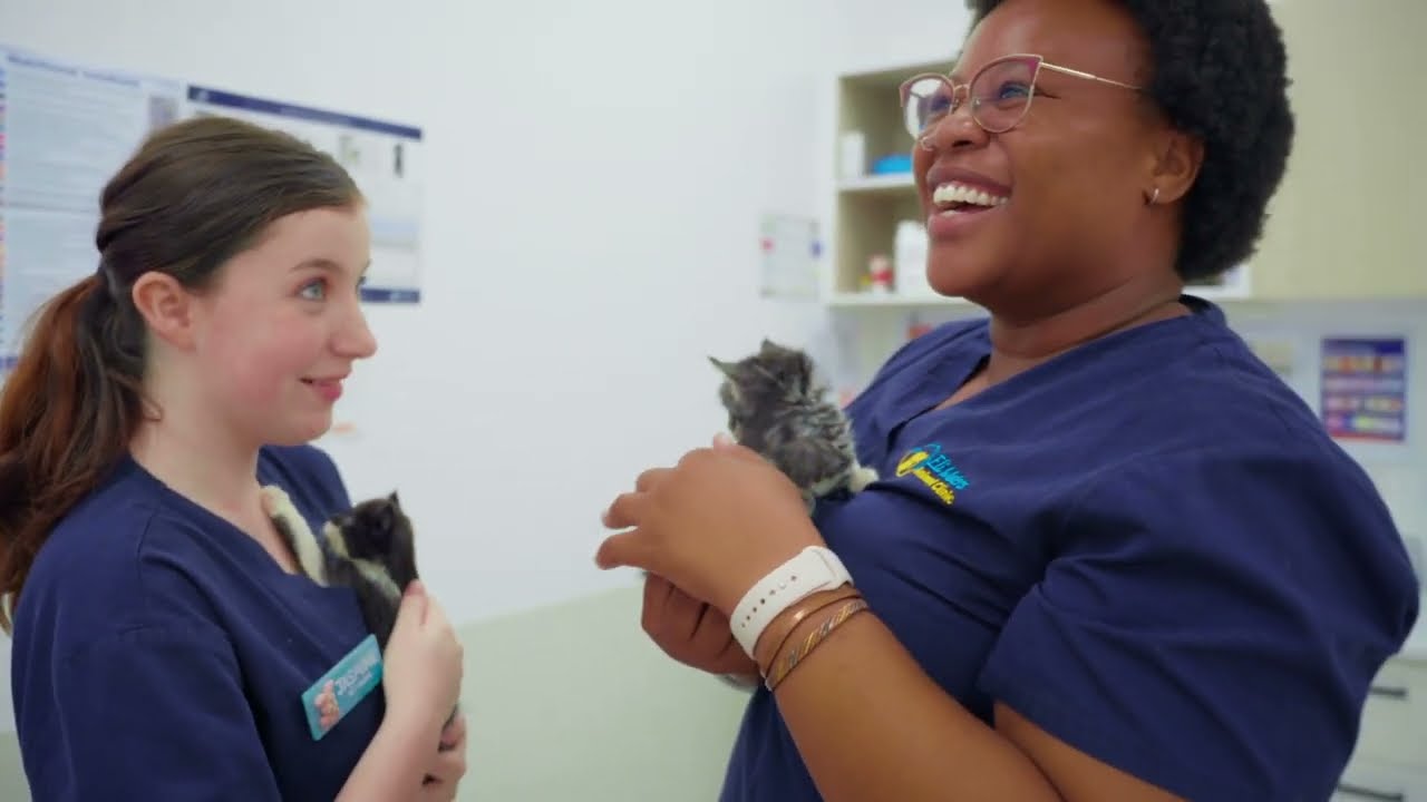Eli Waters Animal Clinic