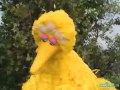 Sesame Street All About Two