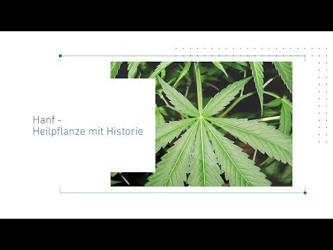 Hanf - Heilpflanze mit Historie | Webinar mit Dr. scient. med. Patricia Ricci