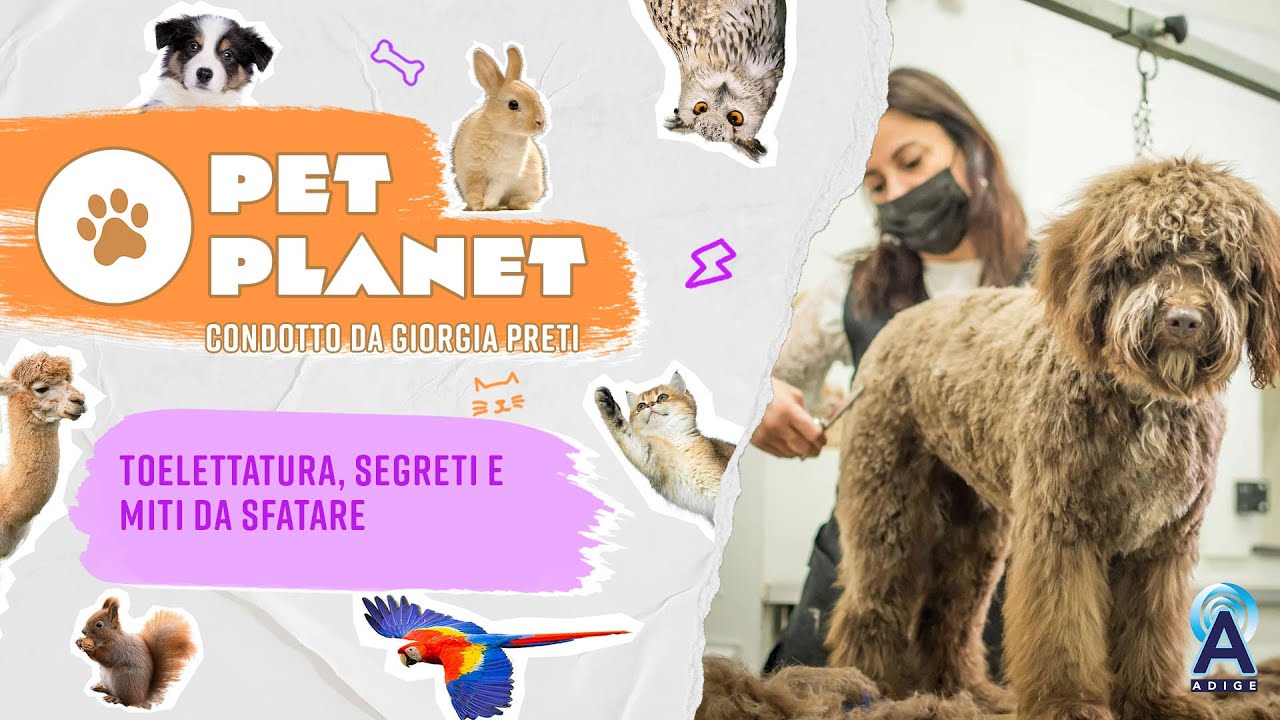 Descrizione dell'immagine