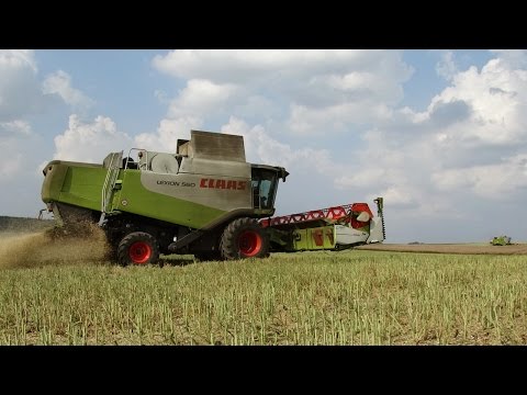 hqdefault Żniwa 2016: Claas Lexion i Tucano „kradną” co się da   VIDEO