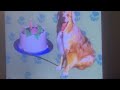 Elmo World Dogs Quizzes