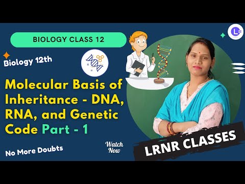Molecular Basis of Inheritance - DNA, RNA, and Genetic Code || Biology Class 12 || LRNR Classes