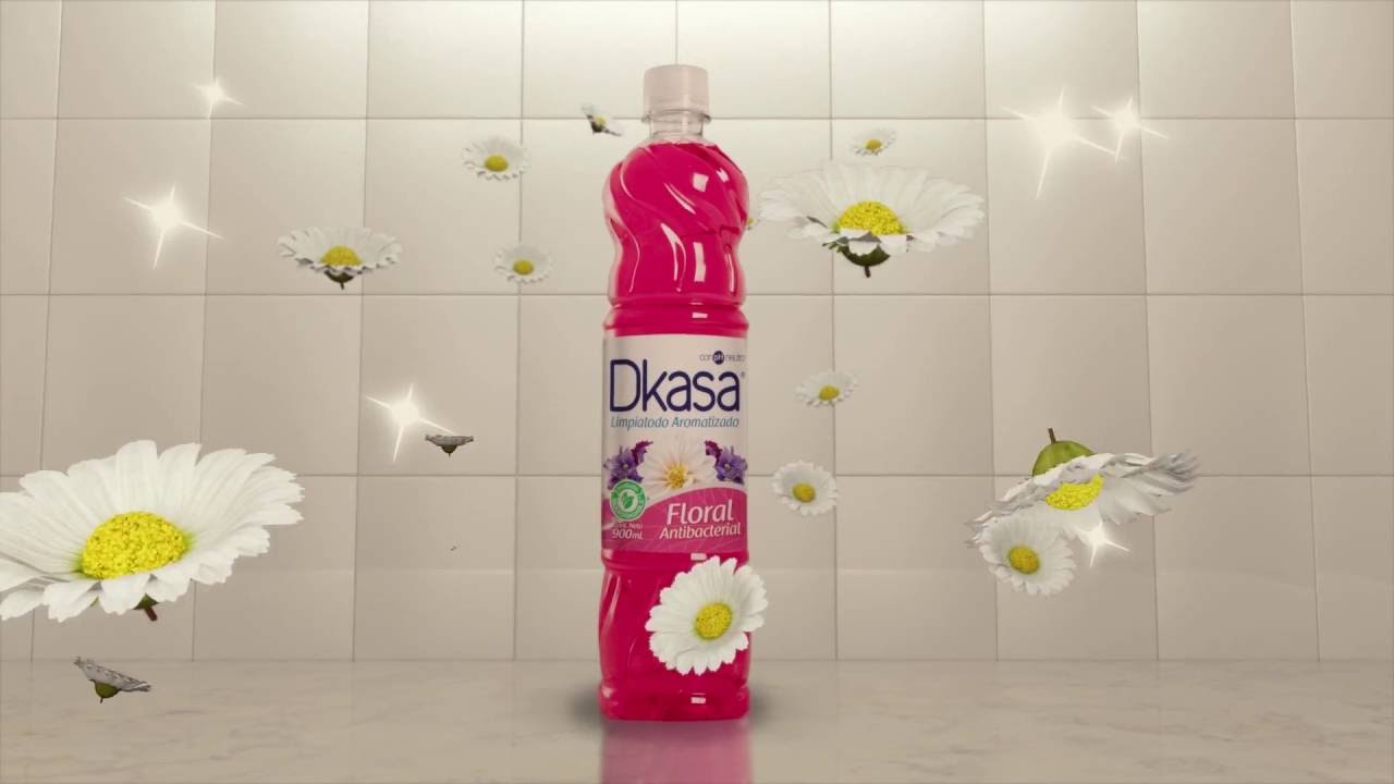 Dkasa - Limpieza en tu hogar