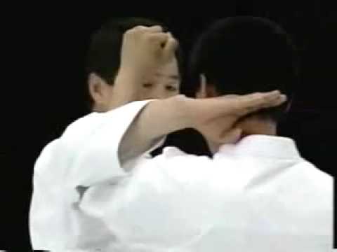 Kagawa Karate Haito Uchi