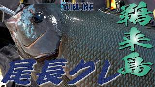 大分県米水津釣行 | サンライン