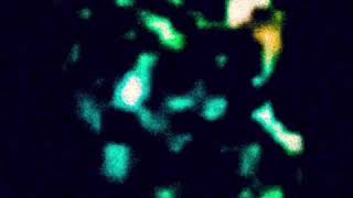 Yes! The Man in the Moon has Friends