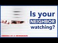 Observe. Report. Prosecute. How Texas Deputized All It's Citizens | Jon Michaels