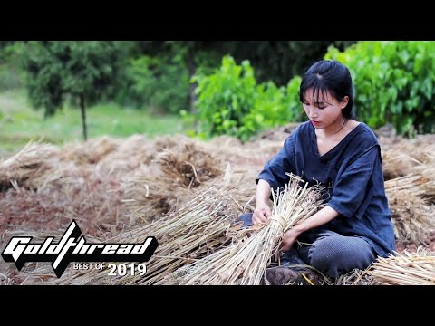 用我們2019年的熱門視頻逃離自然：李子柒、鳳頭鸚鵡和野茶。 (Escape to Nature With Our Top Videos of 2019: Li Ziqi, Cockatoos, and Wild Tea)