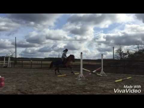 Springen mit Neelixx 25.02.2017