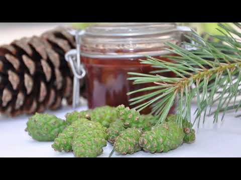 Boja meda ep. 141 17.11.2020. Utopljavanje pčelinjih zajednica, šumski med, polen