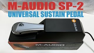 Video thumbnail for M-Audio SP-2 Sustain Pedal Unboxing and Quick Test. by Danboarding
