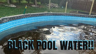 Pool Cleaning | Black Pool Water | First Swim of Summer | How to clean Your Pool | Vlog
