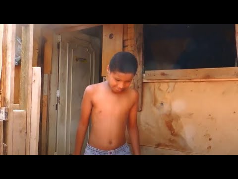 MC Jhr - MInha Fé - DJ Léo JB